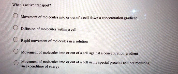 What is active transport?

Movement of molecules into or out of a cell down a concentration gradient

Diffusion of molecules within a cell

Rapid movement of molecules in a solution

Movement of molecules into or out of a cell against a concentration gradient

Movement of molecules into or out of a cell using special proteins and not requiring an expenditure of energy