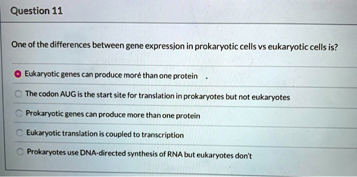 question 11 one ofthe differences between gene expression in ...