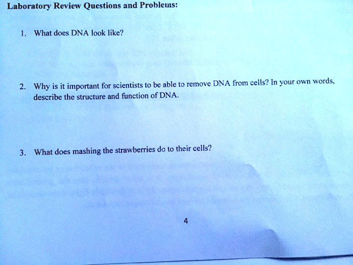 SOLVED: Laboratory Review Qucstions and Probles: What does DNA look ...