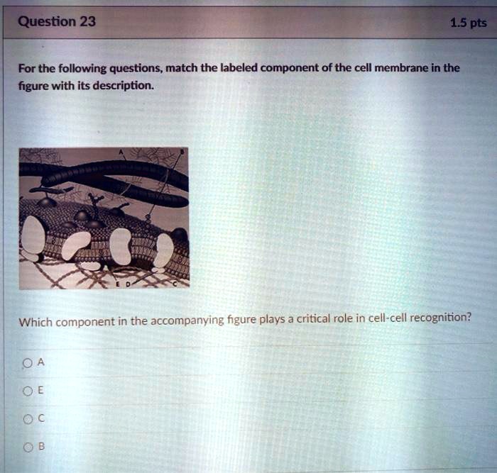 SOLVED Question 23 1.5 pts For the follwing questions, match the