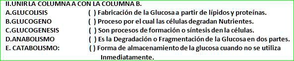 Solved: Ayudaaaa :( Doy Corona Ii.unirla Columnaa Con La Columna B A 