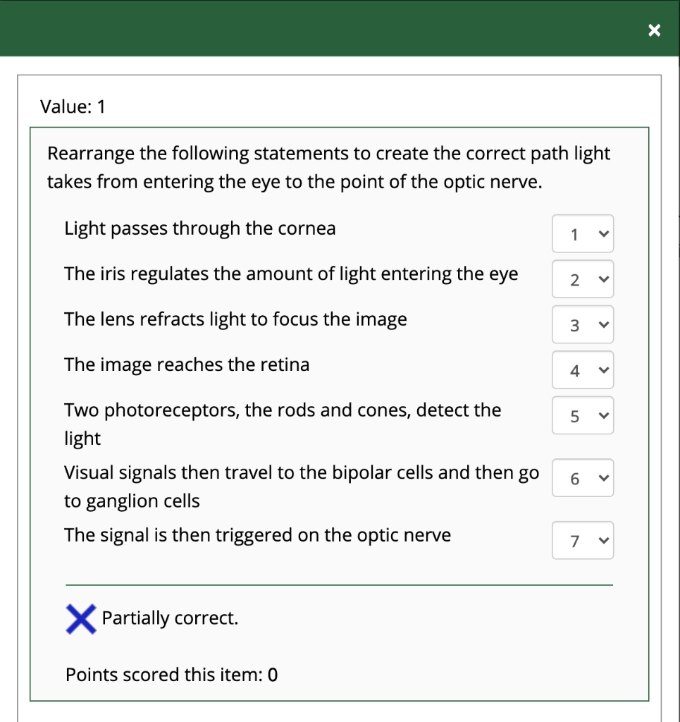 Rearrange the following statements to create the correct path light takes from entering the eye to the point of the optic nerve.

Light passes through the cornea
The iris regulates the amount of light entering the eye
The lens refracts light to focus the image
The image reaches the retina
Two photoreceptors, the rods and cones, detect the light
Visual signals then travel to the bipolar cells and then go to ganglion cells
The signal is then triggered on the optic nerve