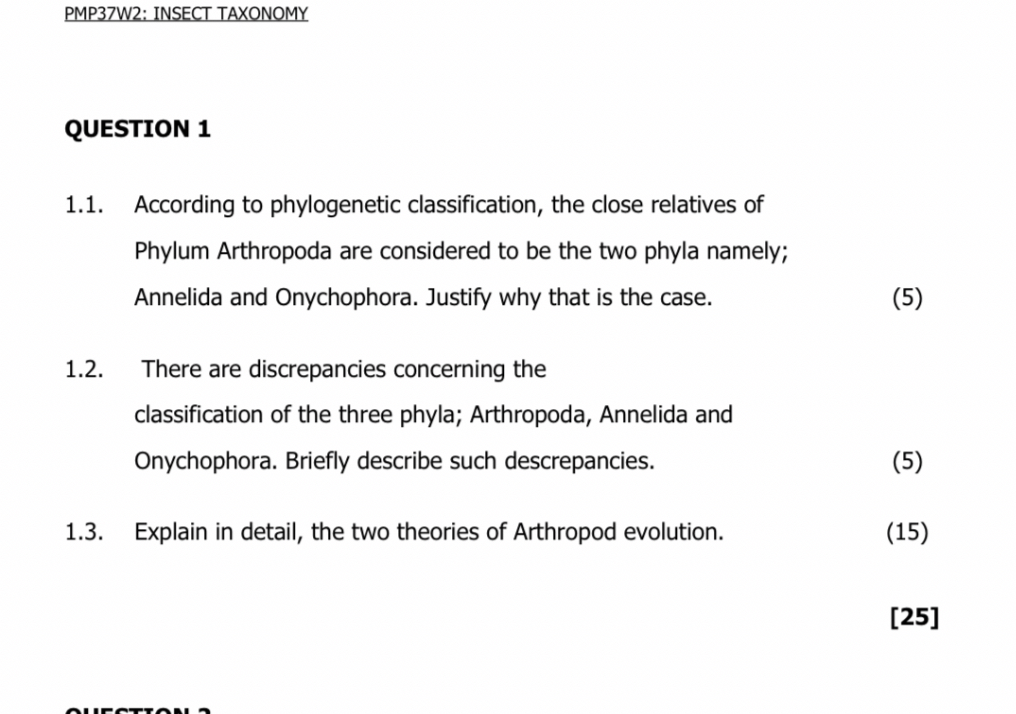 pmp37w2 insect taxonomy question 1 11 according to phylogenetic ...