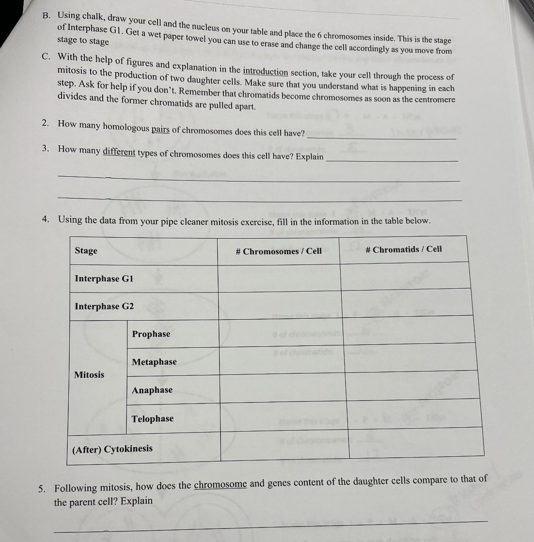 B. Using chalk, draw your cell and the nucleus on your table and place ...