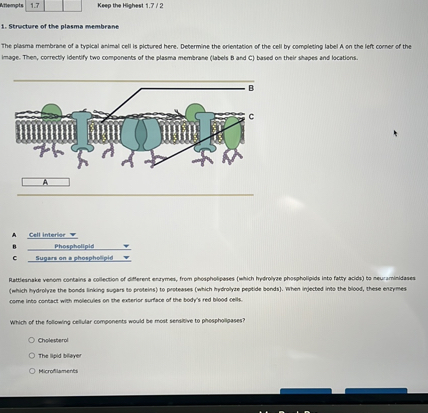 Ariempts 1.7 Keep the Kighest 1.7 / 2 1. Structure of the plasma ...