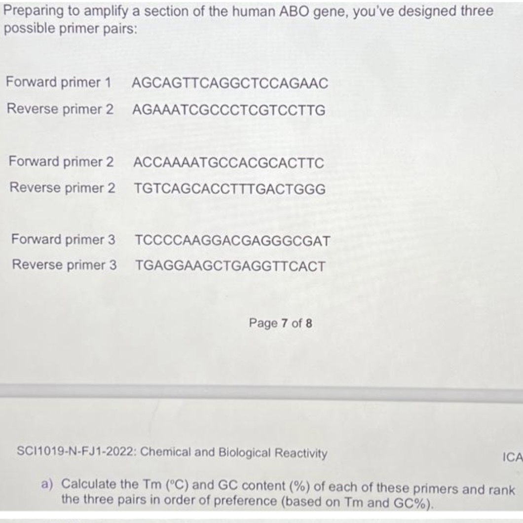 SOLVED Preparing to amplify a section of the human ABO gene, you've