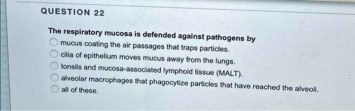The respiratory mucosa is defended against pathogens by
mucus coating the air passages that traps particles.
cilia of epithelium moves mucus away from the lungs.
tonsils and mucosa-associated lymphoid tissue (MALT).
alveolar macrophages that phagocytize particles that have reached the alveoli.
all of these.