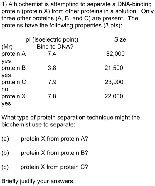 1) A Biochemist Is Attempting To Separate A DNA-binding Protein ...