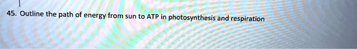 Outline the path of energy from sun to ATP in photosynthesis and respiration