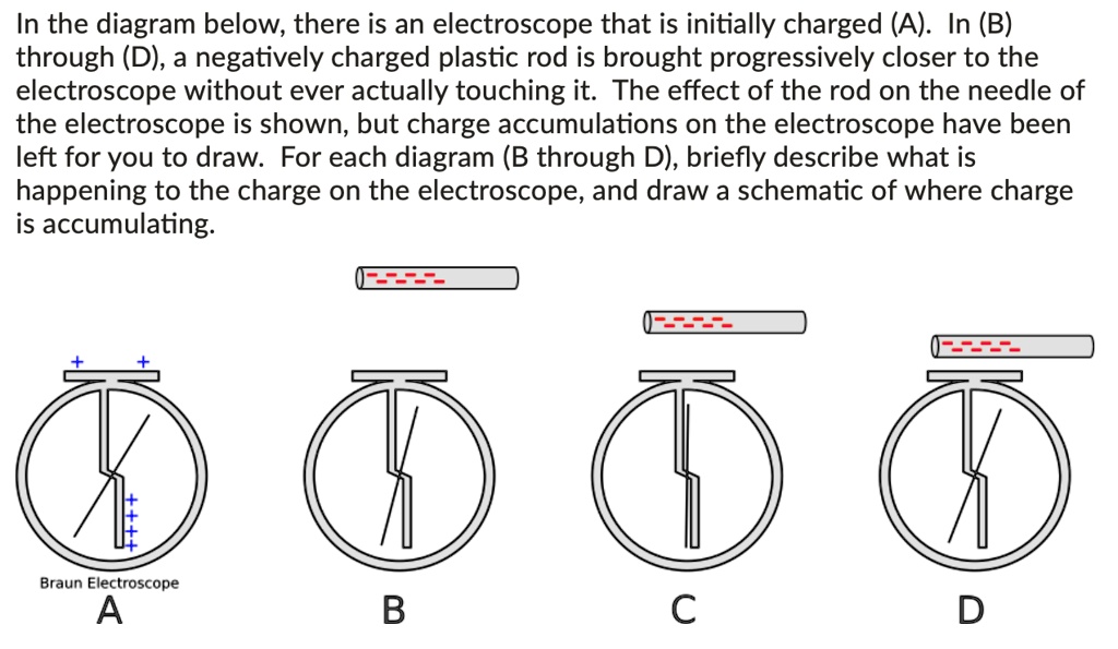 SOLVED In the diagram below; there is an electroscope that is