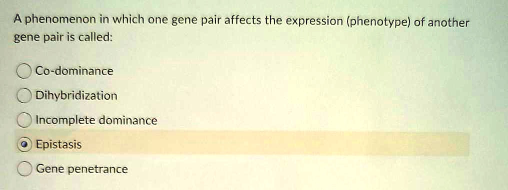 A phenomenon in which one gene pair affects the expression (phenotype) of another gene pair is called:
Co-dominance
Dihybridization
Incomplete dominance
Epistasis
Gene penetrance