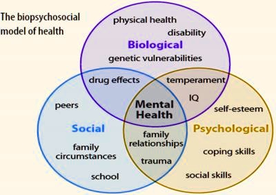 The biopsychosocial model of health physical health disability ...
