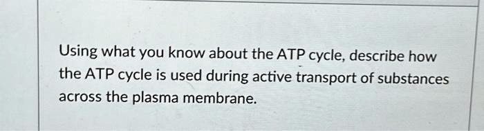 solved-using-what-you-know-about-the-atp-cycle-describe-how-the-atp-cycle-is-used-during