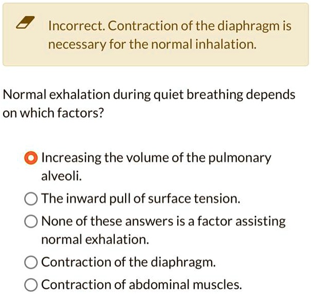 Incorrect. Contraction of the diaphragm is
necessary for the normal inhalation.
Normal exhalation during quiet breathing depends
on which factors?
Increasing the volume of the pulmonary
alveoli.
The inward pull of surface tension.
None of these answers is a factor assisting
normal exhalation.
Contraction of the diaphragm.
Contraction of abdominal muscles.