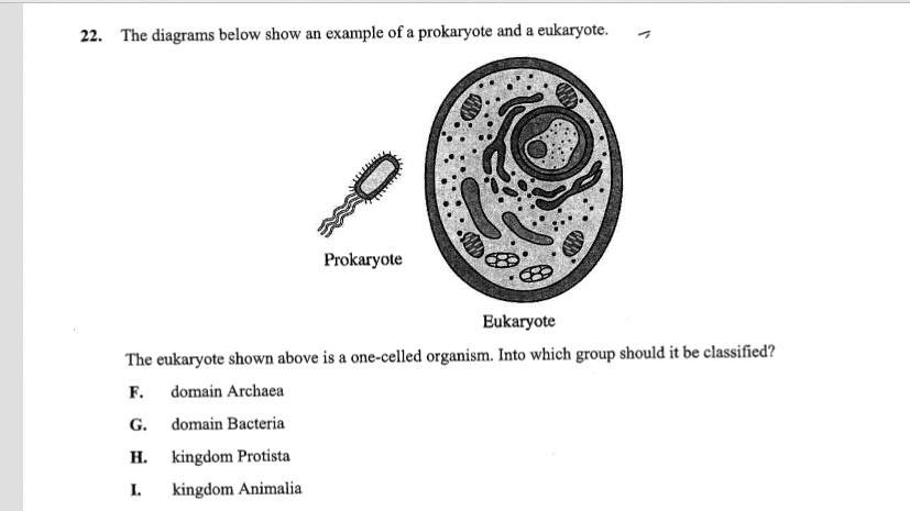 SOLVED: Multiple choice question (biology) 22. The diagrams below show ...