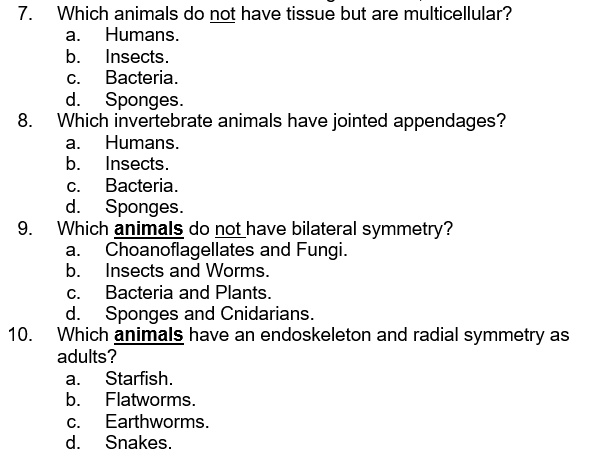 SOLVED: Which animals do not have tissue but are multicellular? Humans