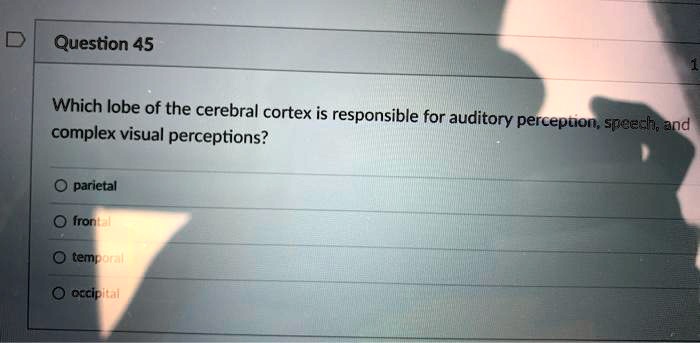 Which lobe of the cerebral cortex is responsible for auditory perception, speech, and complex visual perceptions?

parietal
frontal
temporal
occipital