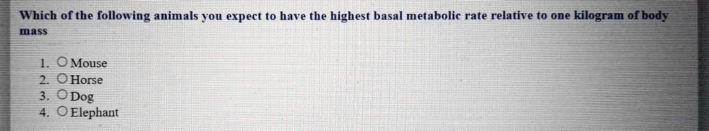 Which of the following animals you expect to have the highest basal metabolic rate relative to one kilogram of body mass

1. Mouse
2. Horse
3. Dog
4. Elephant