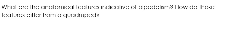 What are the anatomical features indicative of bipedalism? How do those features differ from a quadruped?