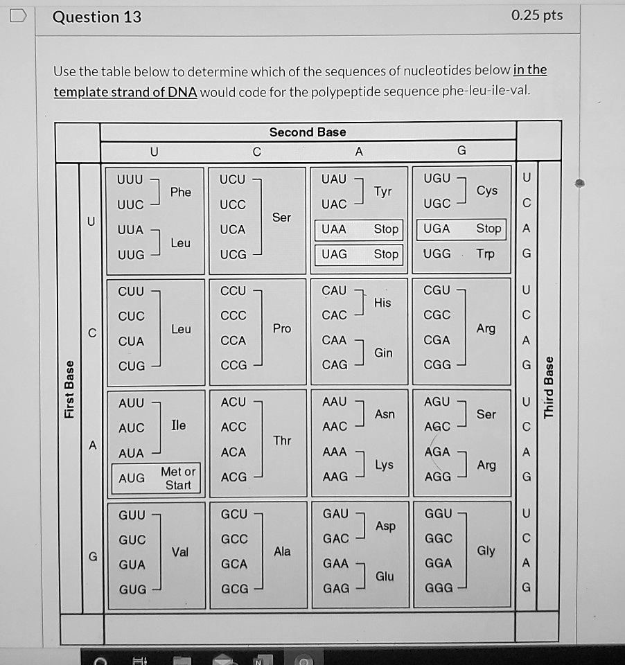 Use the table below to determine which of the sequences of nucleotides below in the template strand of DNA would code for the polypeptide sequence phe-leu-ile-val.

Second Base
U
C
A
G
UUU
UCU
UAU
UGU
U
Phe
Tyr
Cys
UUC
UCC
UAC
UGC
C
U
Ser
UUA
UCA
UAA
Stop
UGA
Stop
A
Leu
UUG
UCG
UAG
Stop
UGG
Trp
G
CUU
CCU
CAU
CGU
U
His
CUC
CCC
CAC
CGC
C
First Base
C
Leu
Pro
Arg
CUA
CCA
CAA
CGA
A
Gln
CUG
CCG
CAG
CGG
G
Third Base
AUU
ACU
AAU
AGU
U
Asn
Ser
AUC
Ile
ACC
AAC
AGC
C
A
Thr
AUA
ACA
AAA
AGA
A
Lys
Arg
AUG
Met or Start
ACG
AAG
AGG
G
GUU
GCU
GAU
GGU
U
Asp
GUC
GCC
GAC
GGC
C
G
Val
Ala
Gly
GUA
GCA
GAA
GGA
A
Glu
GUG
GCG
GAG
GGG
G