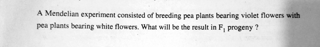 a mendelian experiment consisted of breeding pea plant bearing violet