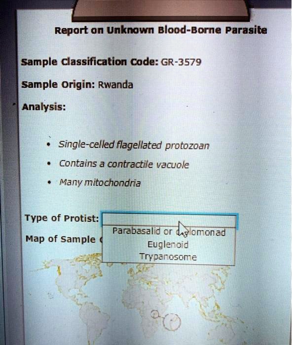 SOLVED:Report On Unknowm Blood-Borne Parasite Sample Classification ...