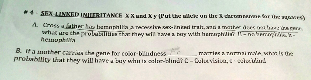 Solved Draw The Punnett Squares And Write Out The Phenotypes Pls ☺ 4 Sexlinkedinheritance