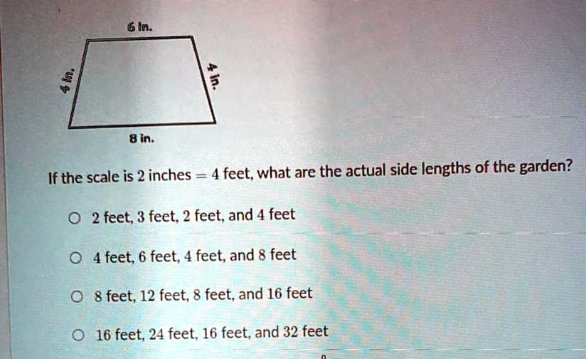 SOLVED 6 In 4 In 4 In 8 In If The Scale Is 2 Inches 4 Feet 