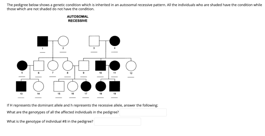 The pedigree below shows a genetic condition that is inherited in an ...