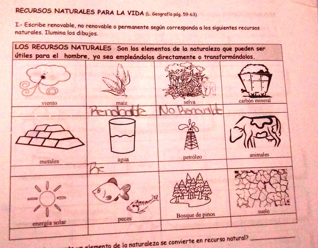 SOLVED: Plisss doy coronita anotar renovable no renovable o permanente