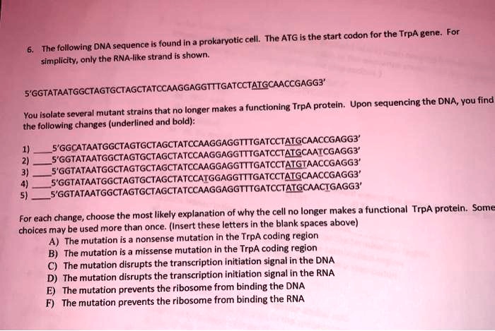 SOLVED: Cell: The ATG is the start codon for the TrpA gene. For found ...