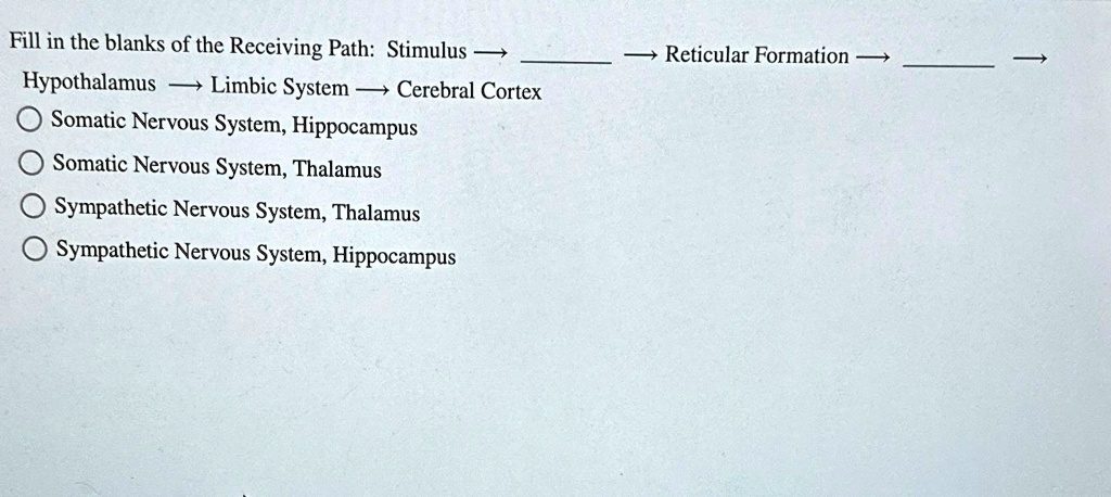 Stimulus Path Fill in the blanks of the Receiving Path: Stimulus ? Hypothalamus ...