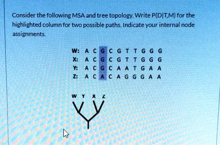 Msa Tree Consider the following MSA and tree topology. Write P(DITM) for the ...
