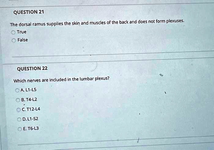 QUESTION 21
The dorsal ramus supplies the skin and muscles of the back and does not form plexuses.
True
False
QUESTION 22
Which nerves are included in the lumbar plexus?
A. L1-L5
B. T4-L2
C. T12-L4
D. L1-S2
E. T6-L3