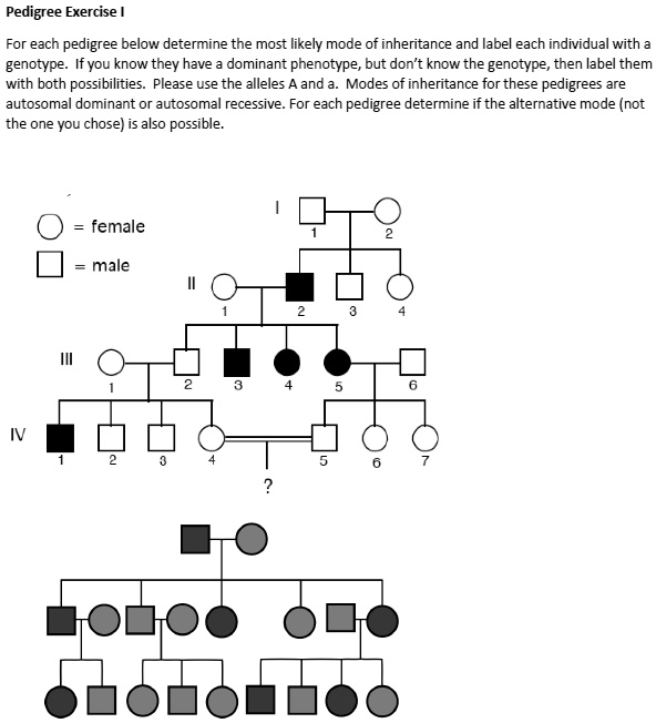 Pedigree Exercise I For each pedigree below determine the most likely ...