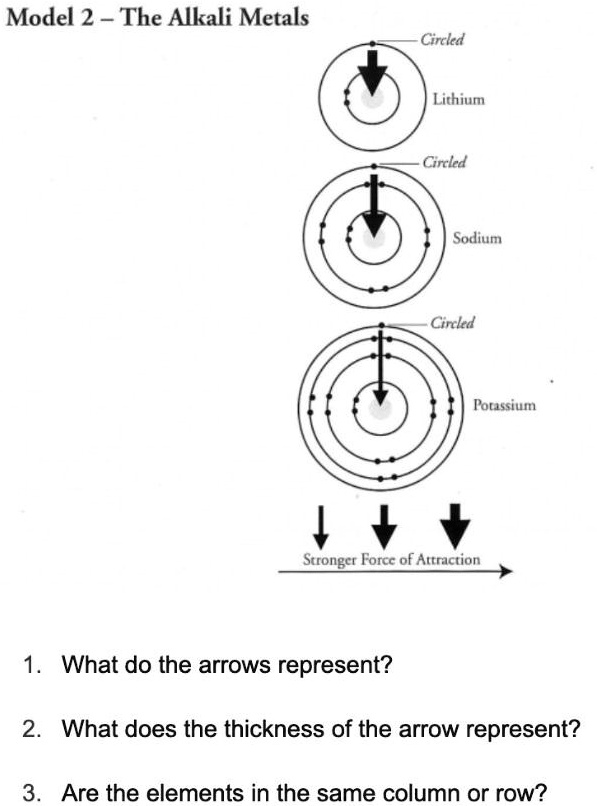 SOLVED Model 2 The Alkali Metals Circled Lithium Circled Sodium
