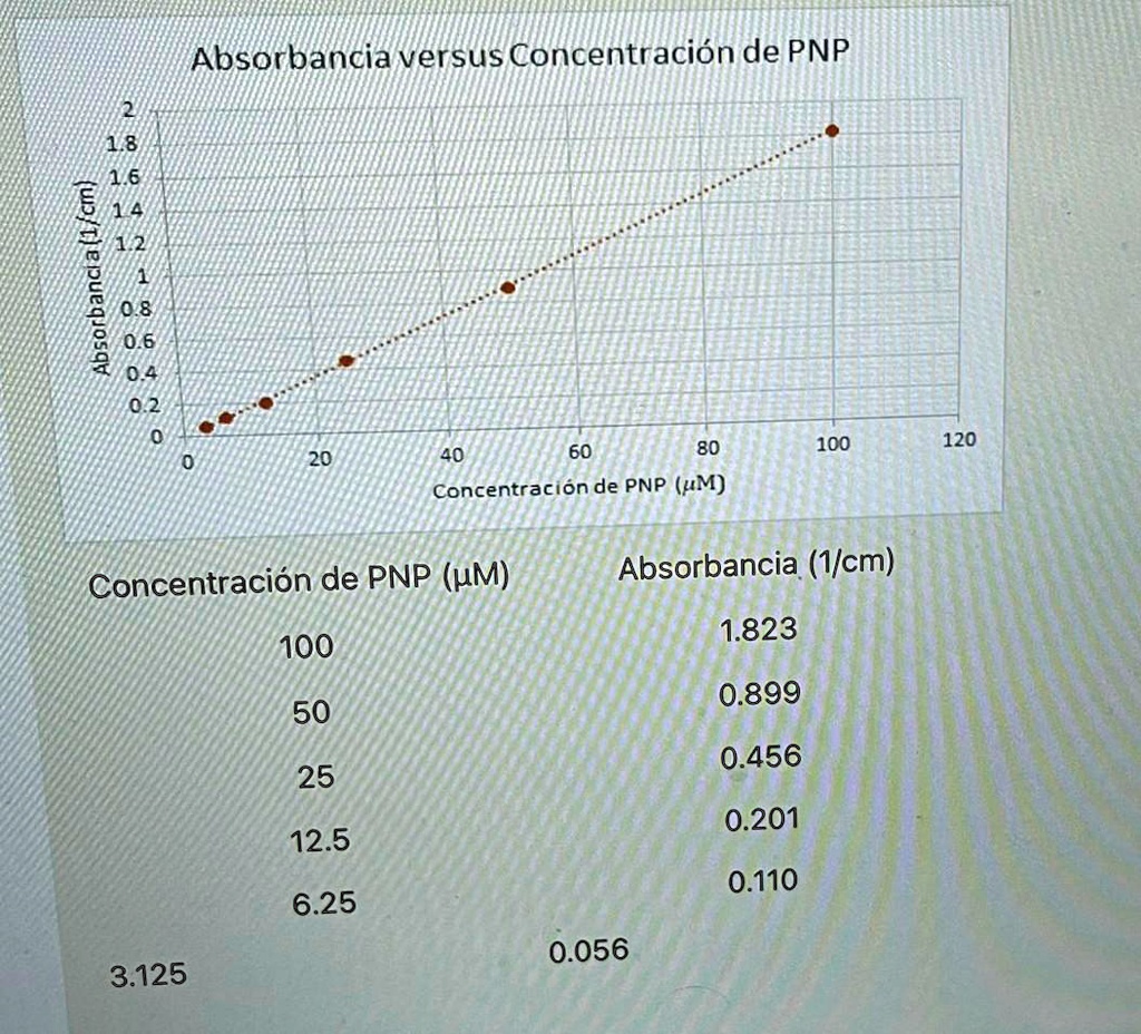 Absorbancia (1/cm) Absorbancia versus Concentración de PNP 2 1.8 1.6 14 ...