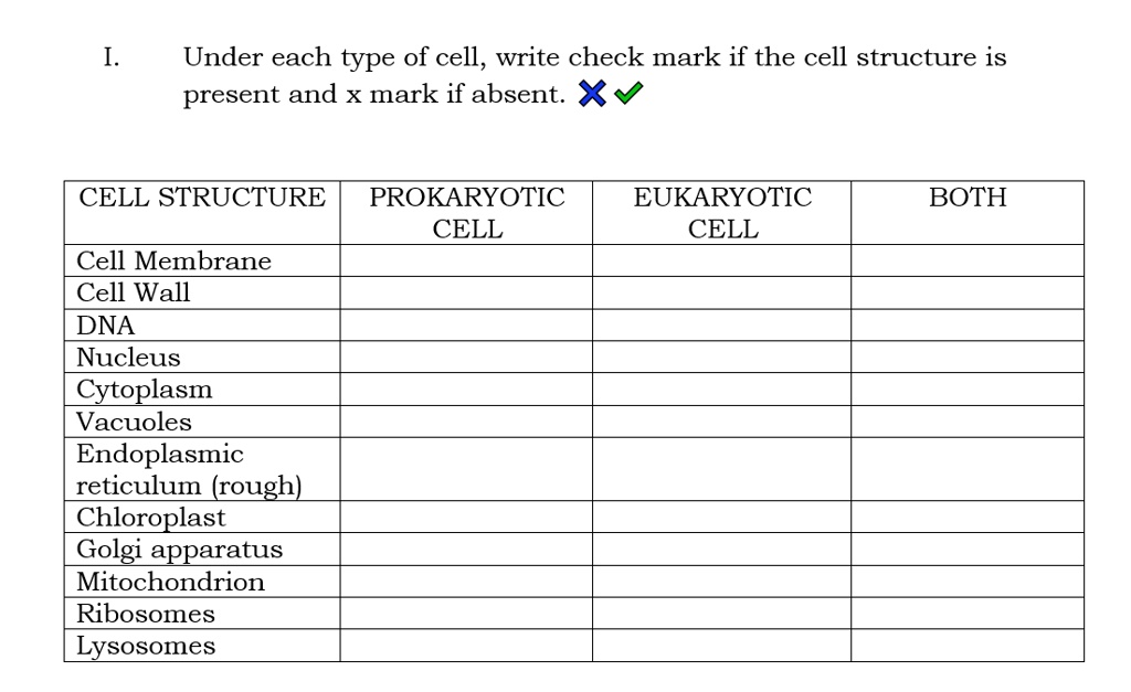 under each type of cell write check mark if the cell structure is ...