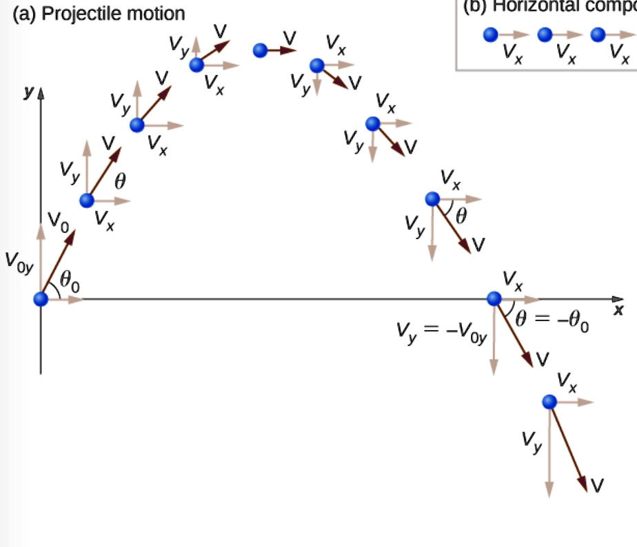 SOLVED: (a) Projectile motion (D) Horizontal compc Vx 1 Vx Vx Vy Vy Vo ...