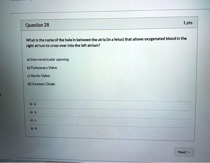 SOLVED: What is the name of the hole in between the atria (in a fetus ...