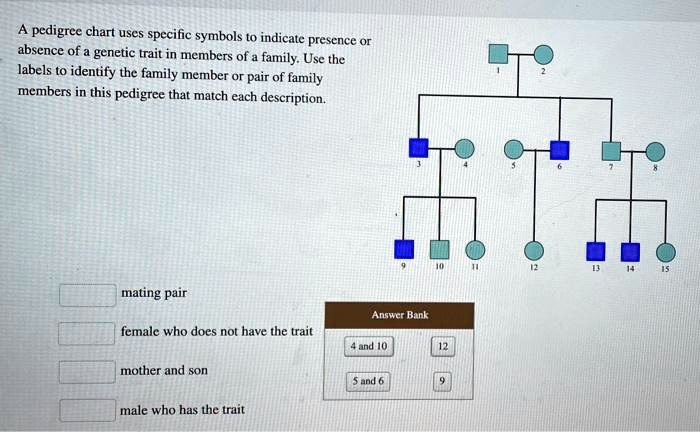 SOLVED: A pedigree chart uses specific symbols to indicate the presence ...