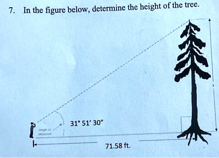 7. In the figure below, determine the height of the tree.
31° 51' 30"
Angle of
elevation
71.58 ft.