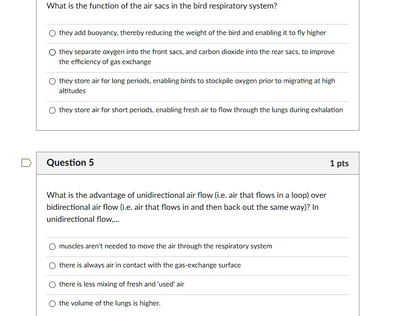 What is the function of the air sacs in the bird respiratory system? They add buoyancy thereby