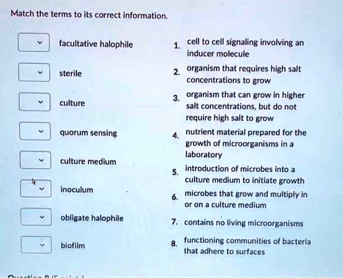 SOLVED: Match the terms to its correct information facultative ...