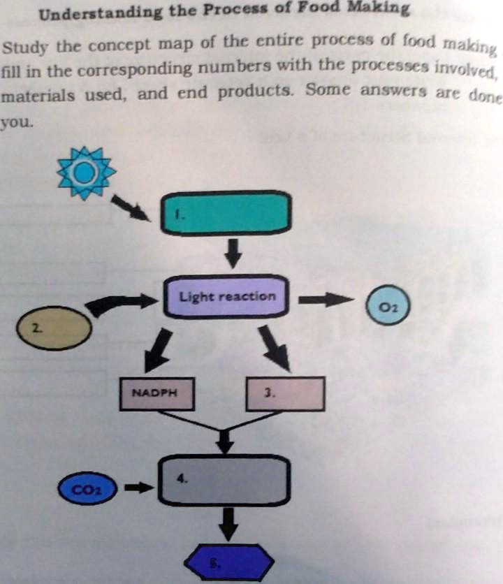 Understanding the Process of Food Making Study the concept map of the ...