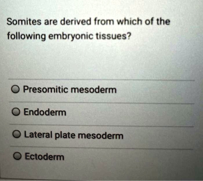 SOLVED: Somites are derived from which of the following embryonic ...