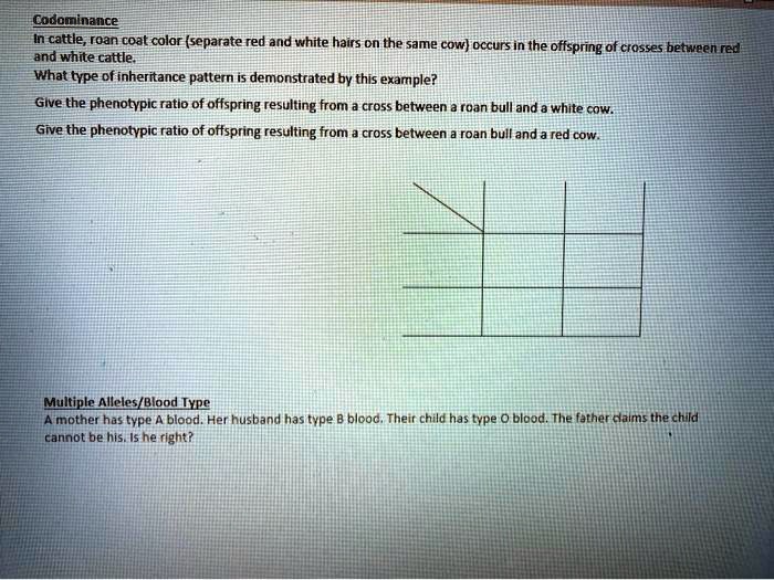 SOLVED: Codominance in cattle results in a roan coat color, which is ...
