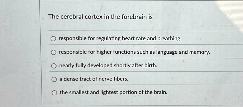 The cerebral cortex in the forebrain is responsible for regulating ...