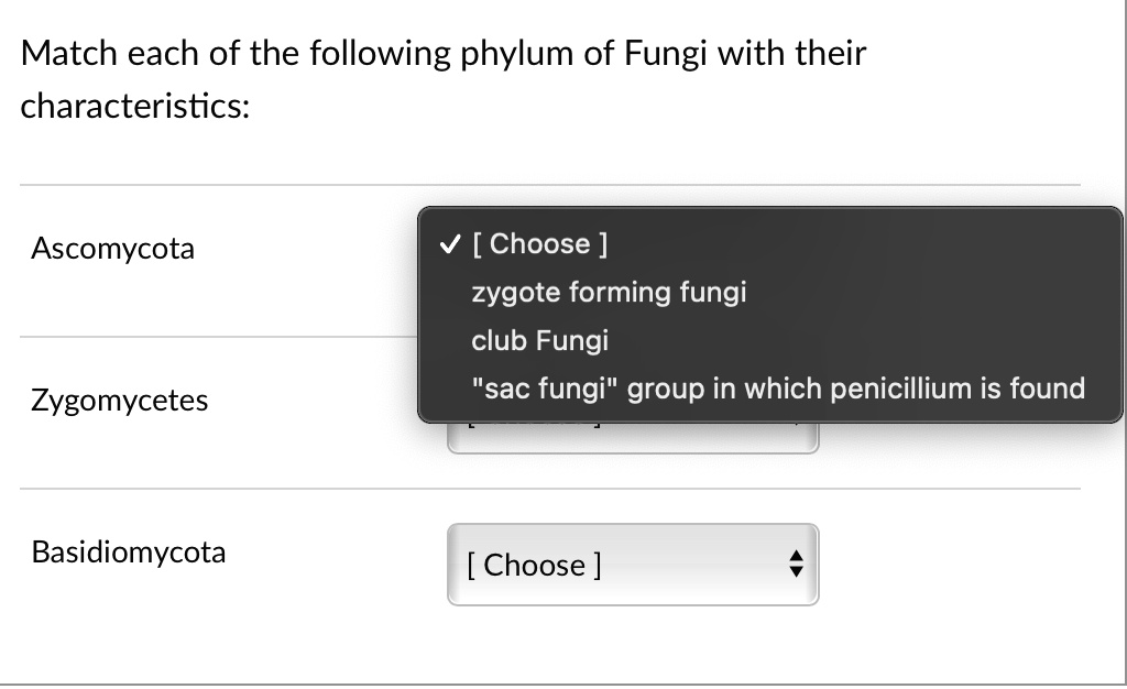 SOLVED Match each of the following phylum of Fungi with their