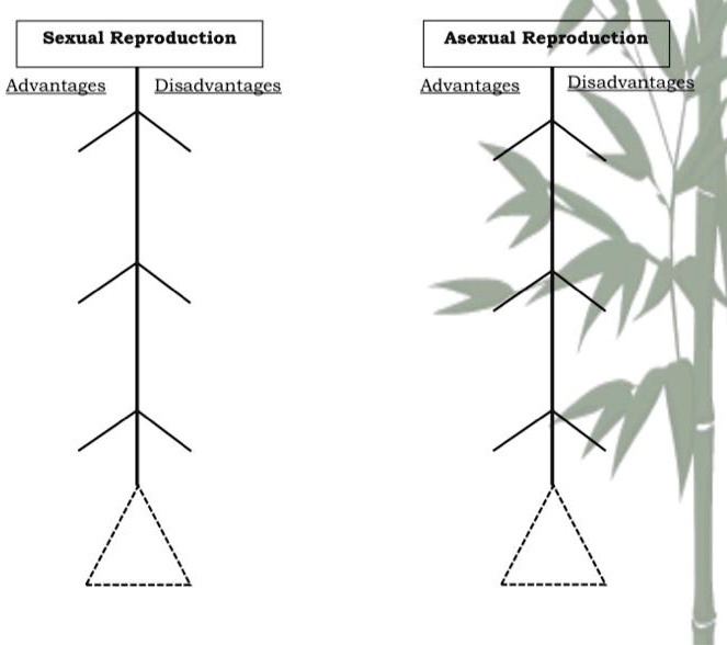 SOLVED: Sexual Reproduction Asexual Reproduction Advantages